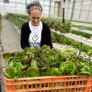 picking crops