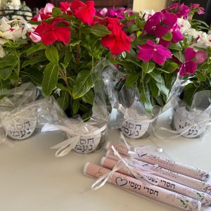 Colorful flowers to bring joy to Holocaust survivors and lonely elderly people